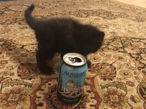 Come to the radio side. We have kittens, and beer.