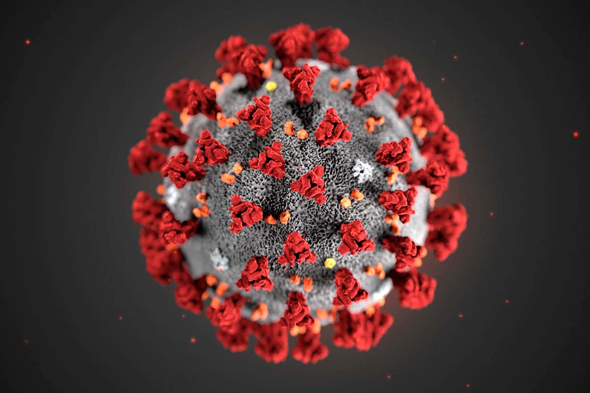 Illustration of the ultrastructure of the Covid-19 virus CDC/SCIENCE PHOTO LIBRARY Read more: https://www.newscientist.com/term/covid-19/#ixzz6HMRNk9ZP