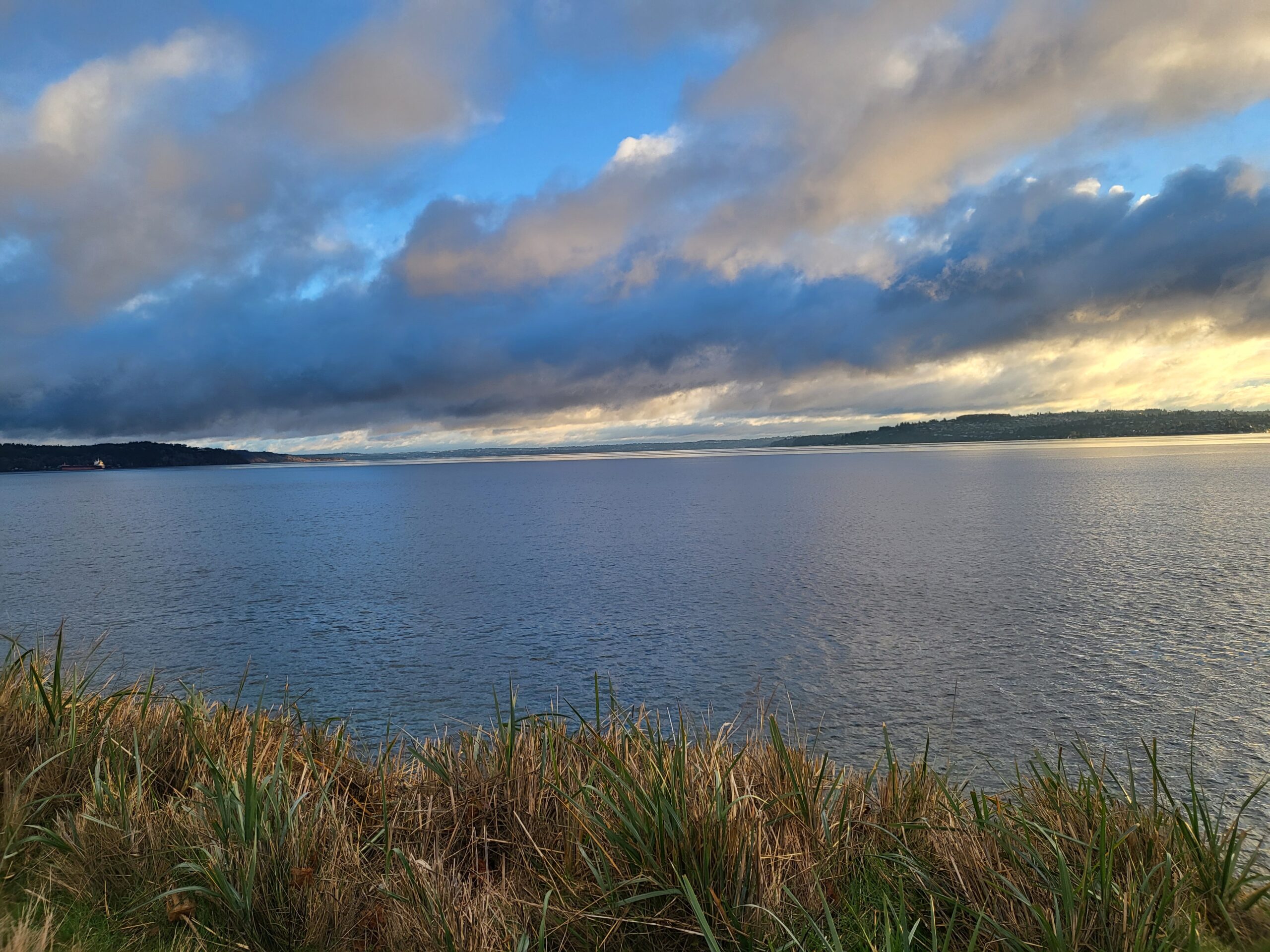 Picture of the Salish Sea near Tacoma.